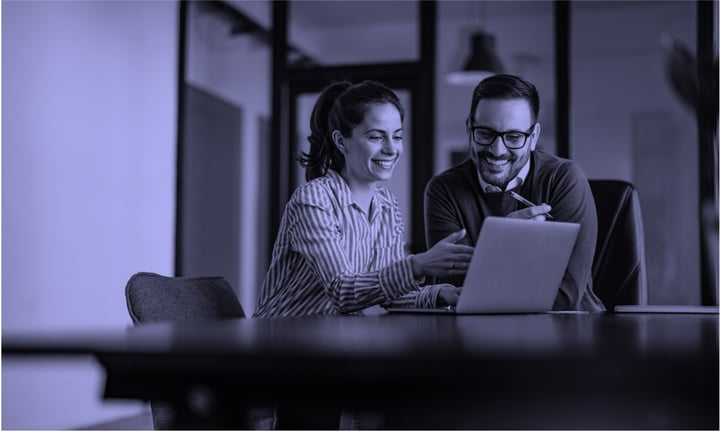 Implementation partners