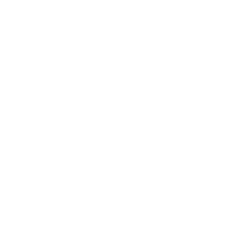 WorkdayPartner