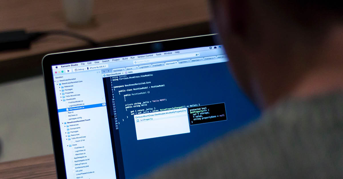 A Guide to Your Software Developers
